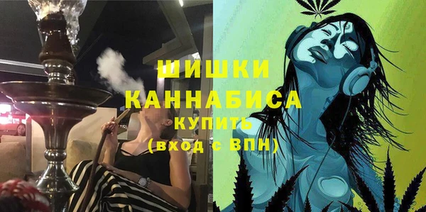 PSILOCYBIN Белоозёрский